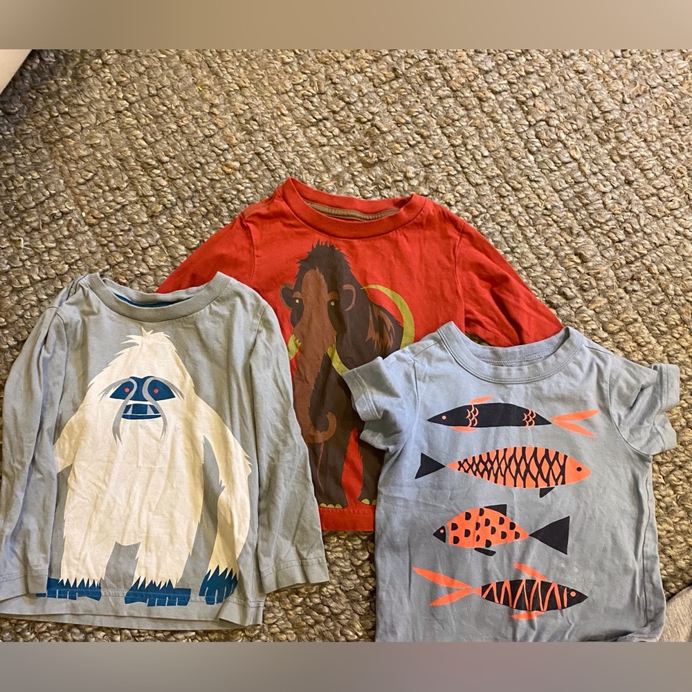 Tea Collection boys lot